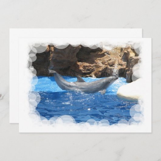 Invitation Dolphin Tricks (Devant / Derrière)