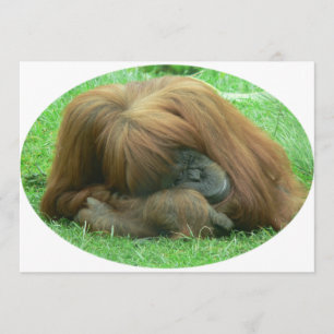 Invitation d'orang-outan