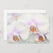 Invitation d'orchidées blanches (Devant / Derrière)