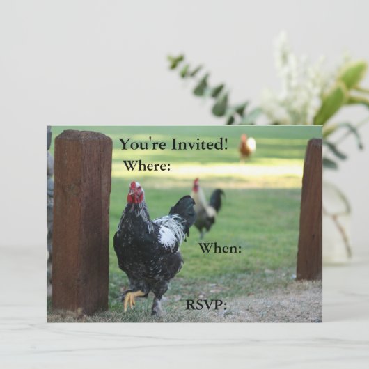 Invitation double face, coq (Debout devant)