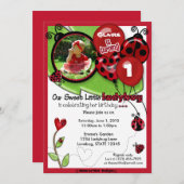 Invitation douce d'anniversaire de coccinelle (Devant / Derrière)