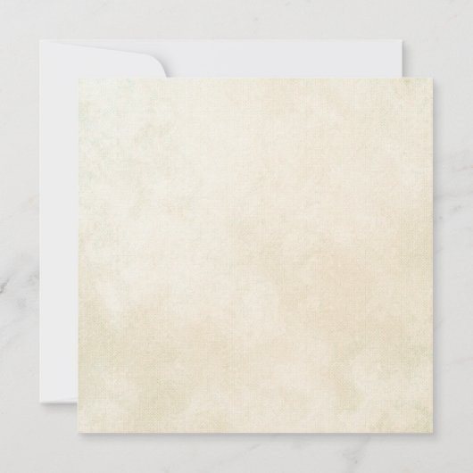 Invitation Douche pour bébé vintage (Dos)