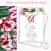 Invitation Douche | Tulipes Rembrandt blanches et rouges flor