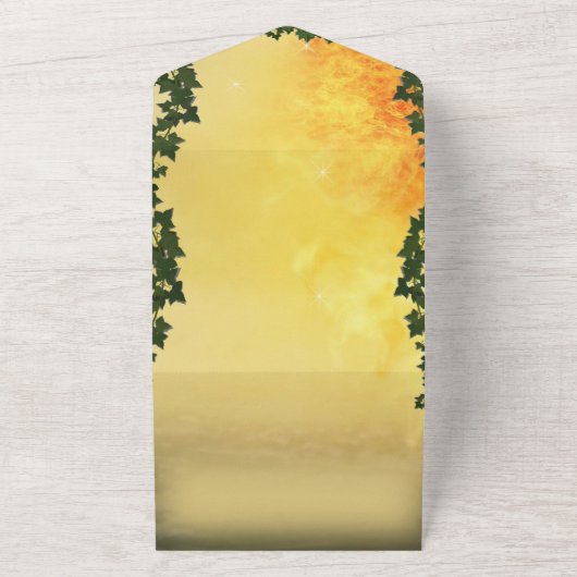 Invitation Dragon et Château (Dehors)