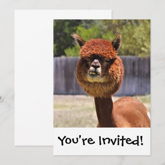 Invitation drôle d'alpaga (Devant / Derrière)