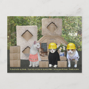 Invitation drôle de chat pour aider à bouger