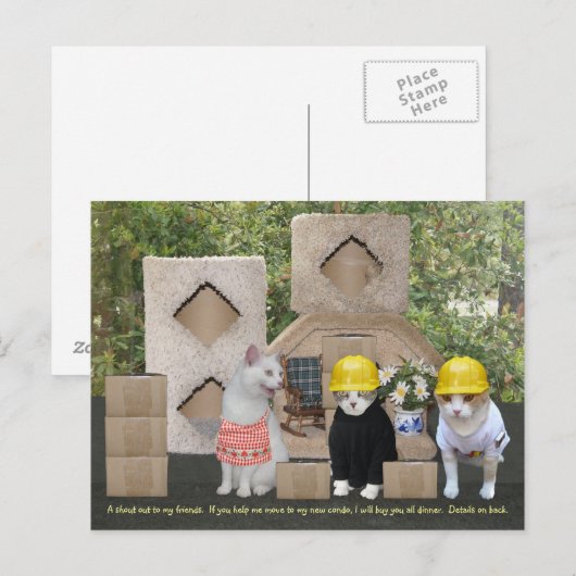 Invitation drôle de chat pour aider à bouger (Devant / Derrière)