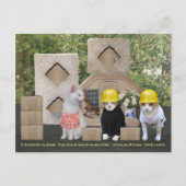 Invitation drôle de chat pour aider à bouger (Devant)