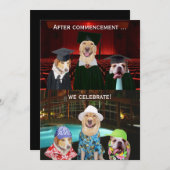 Invitation drôle de fête de remise des diplômes de (Devant / Derrière)