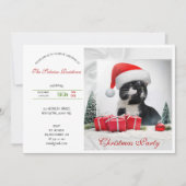 Invitation Drôle Sarcastique Chat Santas Casquette Noël (Devant)