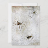 Invitation Drôle Sorcières Jambes Wicked Halloween Party (Dos)