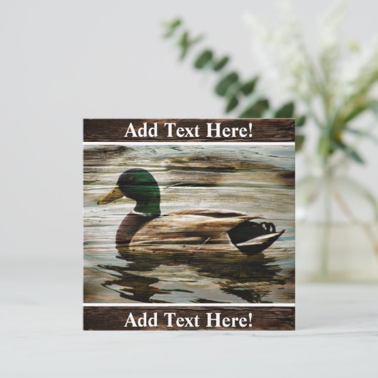 Invitation du canard Mallard (Debout devant)