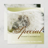 Invitation du Dandelion Special Party (Devant / Derrière)