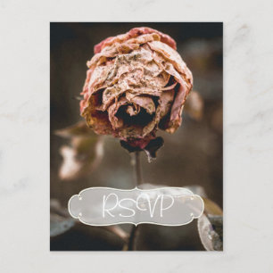 Invitation du Divorce Party RSVP avec photo