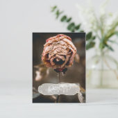 Invitation du Divorce Party RSVP avec photo (Debout devant)