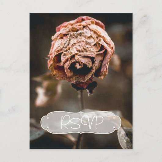 Invitation du Divorce Party RSVP avec photo (Devant)