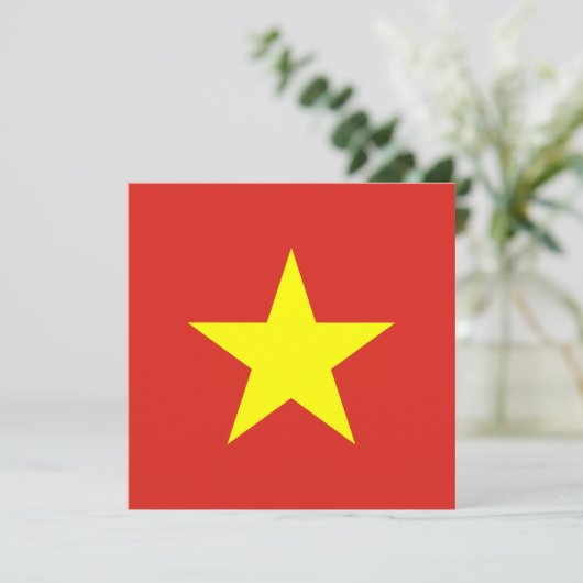Invitation du drapeau du Vietnam (Debout devant)