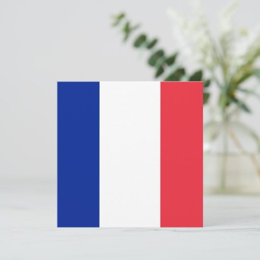 Invitation du drapeau français (Debout devant)