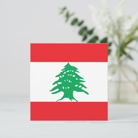 Invitation du drapeau libanais (Debout devant)