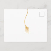 Invitation du Grad Casquette Graduation Party (Dos)