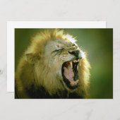 Invitation du lion rugissant (Devant / Derrière)