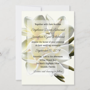 Invitation du Mariage hawaïen Frangipani