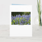 Invitation du Texas Bluebonnets Party (Dos)