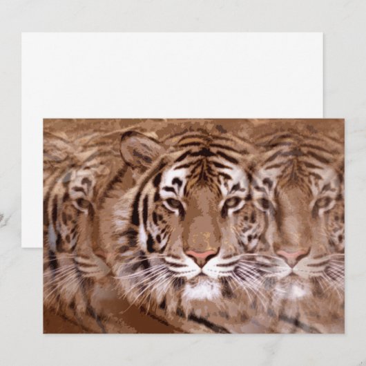 Invitation du tigre (Devant / Derrière)