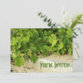 Invitation du vignoble (Debout devant)