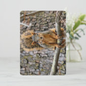 Invitation Écureuil de renard (Debout devant)