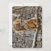 Invitation Écureuil de renard (Devant)