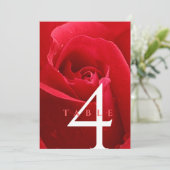 Invitation Élégant 15e 26e 36e anniversaire de Mariage Rose (Debout devant)