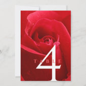 Invitation Élégant 15e 26e 36e anniversaire de Mariage Rose (Dos)