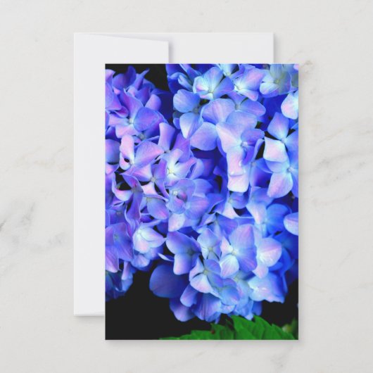Invitation Elégant bleu violet hydrangée fleurie Mariage (Dos)