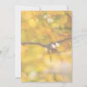 Invitation Elegant Fabulous 50Modern Photo Birthday Party  (Dos)