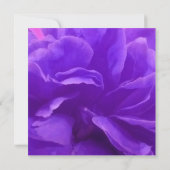 Invitation Élégant Fleur de Framboise Violette Save The Date (Dos)