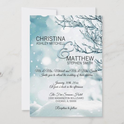 Invitation Élégant hiver Wonderland Snow Flakes MARIAGE (Devant)