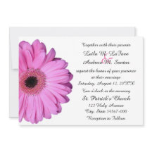 Élégant rose clair Gerbera Mariage marguerite