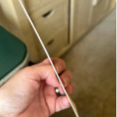 Invitation Elegant Simple Blue Roses Love is in Bloom Wedding