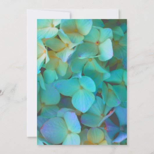 Invitation Elégant Turquoise bleu rose hydrangée fleurs Maria (Dos)
