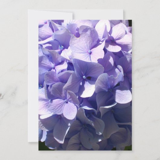 Invitation Élégant violet hydrangée Mariage fleuri (Dos)