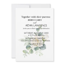 Elégante photo botanique d'eucalyptus