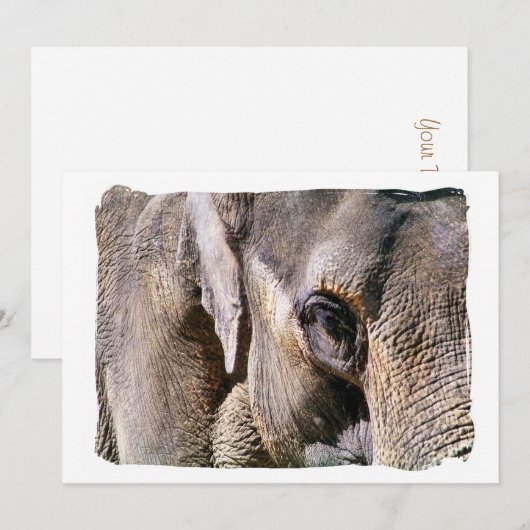 Invitation ELEPHANT (Devant / Derrière)