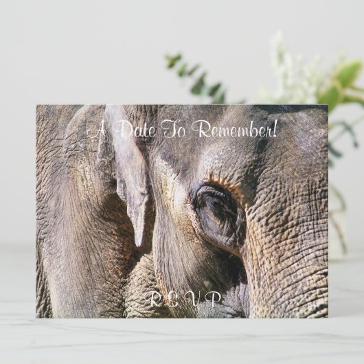 INVITATION ÉLÉPHANT (Debout devant)