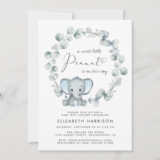 Invitation Eléphant Eucalyptus Baby Boy Douche (Devant)