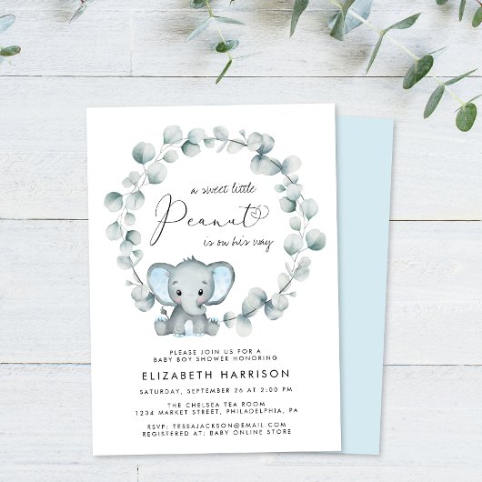 Invitation Eléphant Eucalyptus Baby Boy Douche