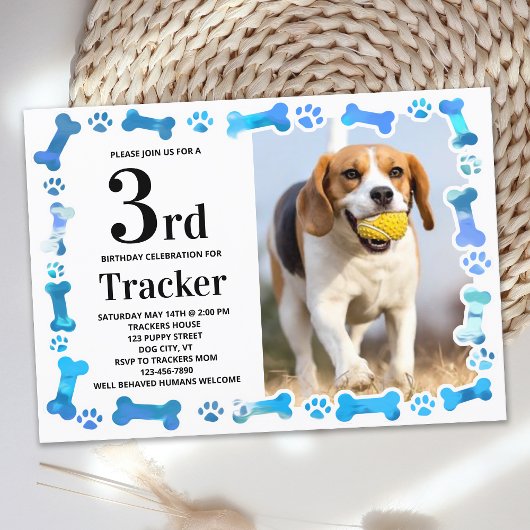 Invitation Empreintes de pattes bleus Custom Chien Photo fête