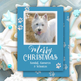 Invitation Empreintes de pattes de photos pour animaux de com