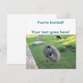 Invitation Emu (Devant / Derrière)