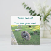 Invitation Emu (Debout devant)